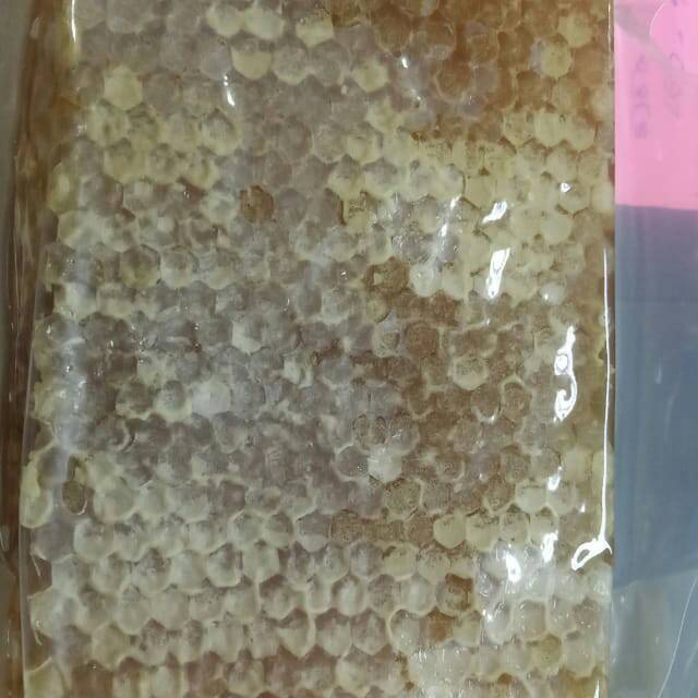 

MADU HITAM MULTIFLORA