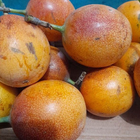 

konyal manis fresh 1kg