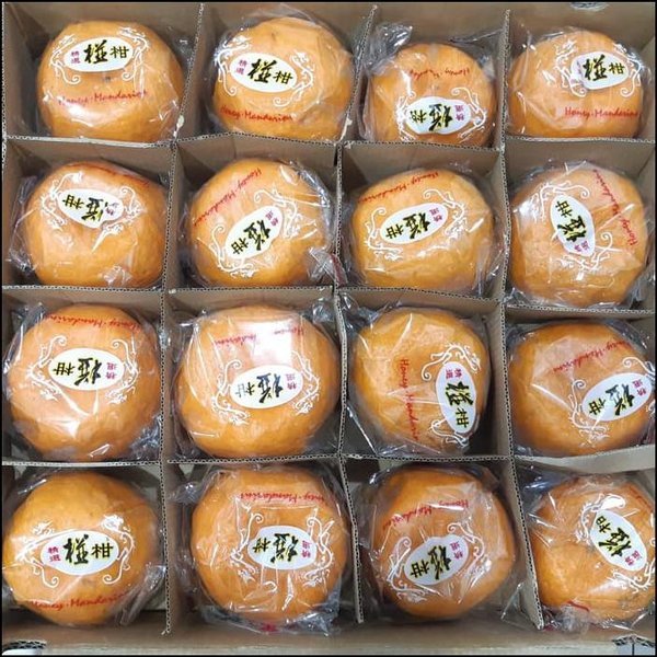 

Jeruk Mandarin HDL Buah Segar Bandung