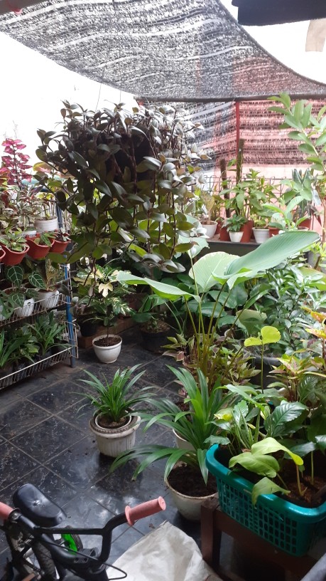 Plastik Standing Pouch Uk.16x24 - Plastik Klip Ziplock Kemasan Berdiri Bening