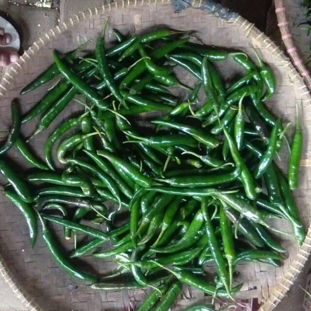 

cabe ijo gede 1kg