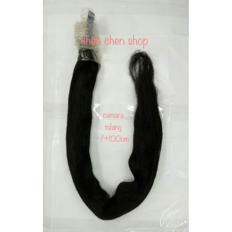 Cemara tulang/cemara panjang