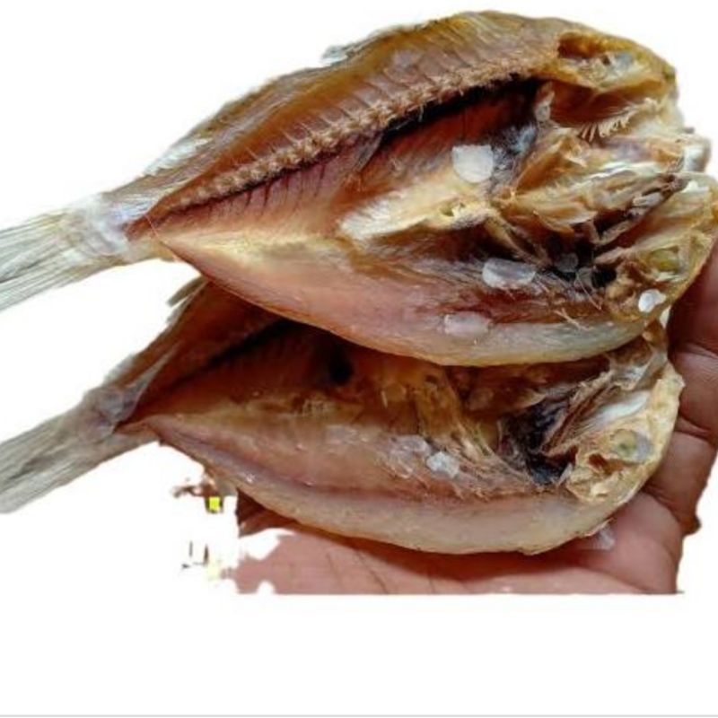 

IKAN ASIN / IKAN ASIN TIGA WAJAH / IKAN ASIN BELAH / IKAN ASIN KUNIRAN / BERAT 50 GRAM