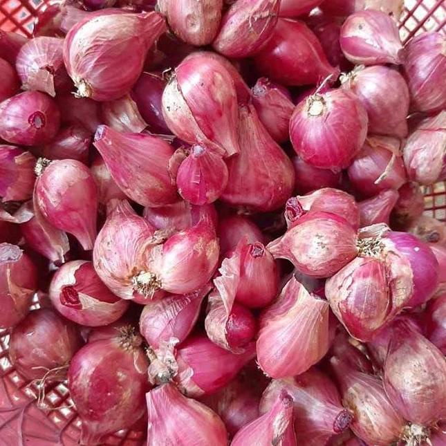 

Produk Unggulan] Bawang Merah 1 KG