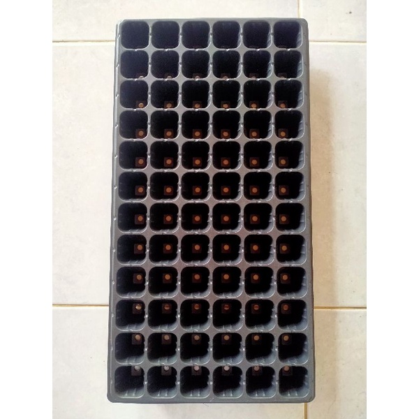 Pot tray_Tray semai 72 hole/lubang_Cocok untuk bibit cabai