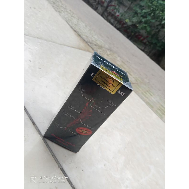 Lintah Hitam Papua / Cod/lintah hitam