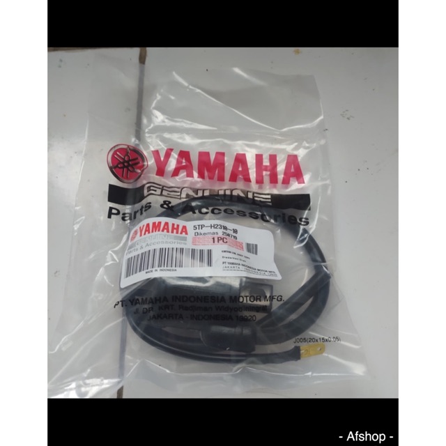 Coil penyalaan jupiter z