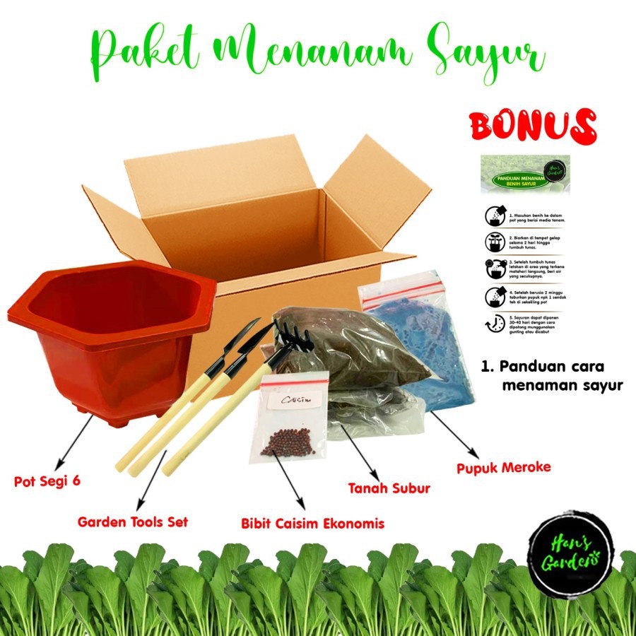 Growing kit paket berkebun sawi caisim untuk souvenir pot