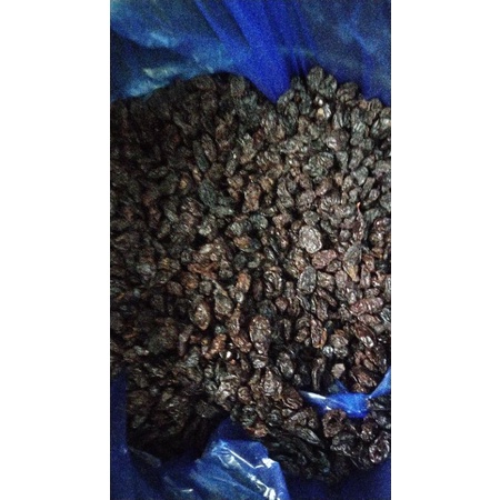 kismis hitam 1 dus
