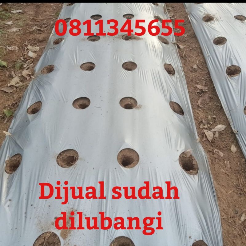 Mulsa Lubang Mulsa Plong merk Cahaya lumba