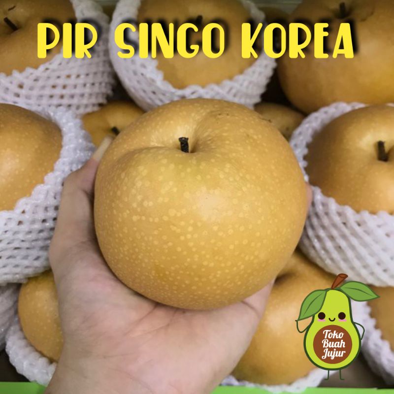 

PEAR SINGO KOREA PIR SINGO KOREA 1pcs