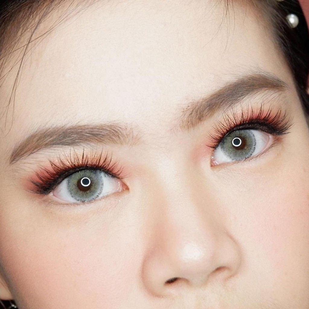 Softlens DreamColor NOBLUK GRAY / BROWN