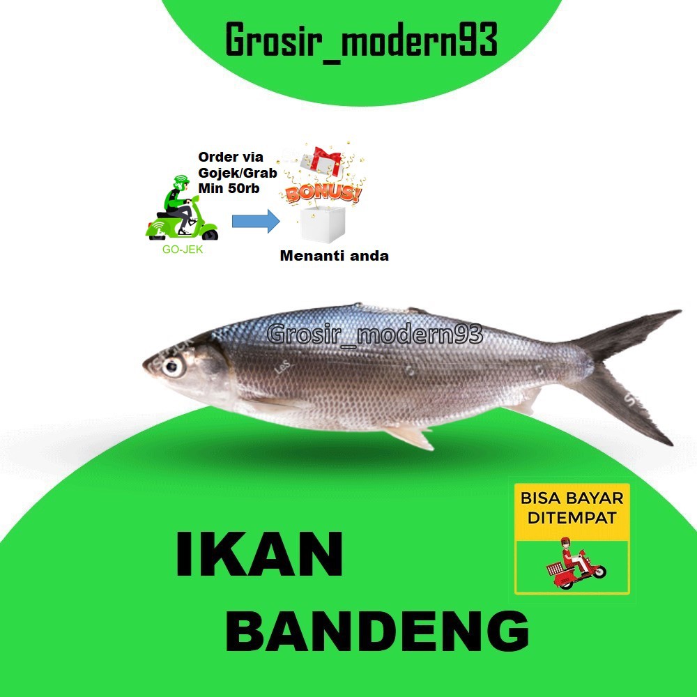 

IKAN BANDENG FRESH 1 KG
