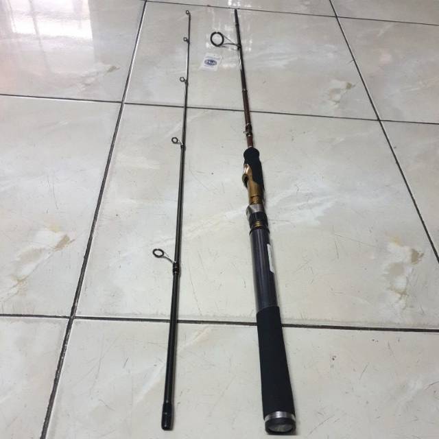 Joran Fenwick Golden Wing Pro Edition 165