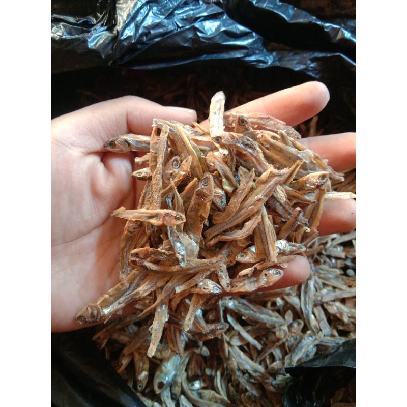 

ikan Teri