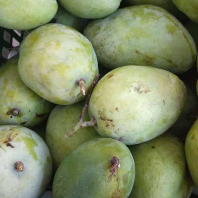 

Buah cengkir1kg|mangga cengkir|buah segar bandung|nuri fruits