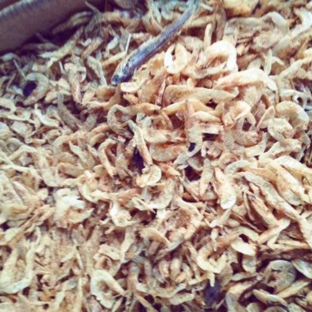

UDANG REBON TAWAR PALING MANTAP