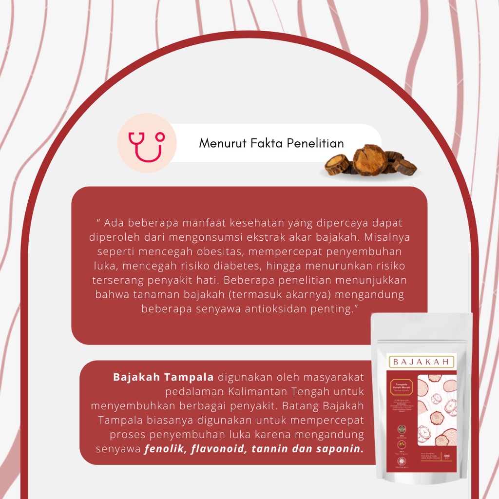 Ternak Syams - Premium Akar Bajakah Tampala 1 Kg Syams kering getah merah Asli pedalaman kalimantan Murni Organik anti jamur anti kanker minuman obat herbal tradisional alami kalalawit curah 1000 gram