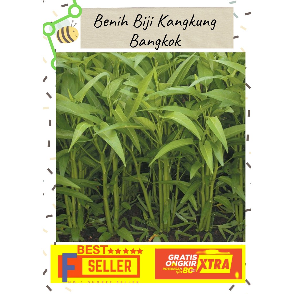 bibit kangkung/ benih kangkung/ biji kangkung/ benih kangkung hidroponik/ Panah Merah Repack 400biji