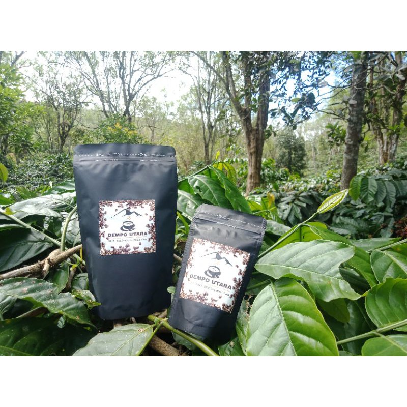 

KOPI PAGARALAM "DEMPO UTARA