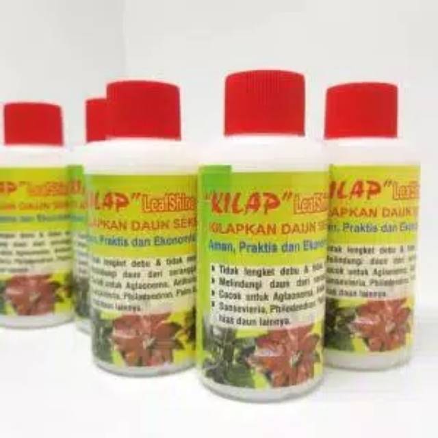 Kilap Daun - Semir Daun &quot;Kilap&quot; Leafshine oles / pengkilap daun tanaman hias aglonema pengkilat daun