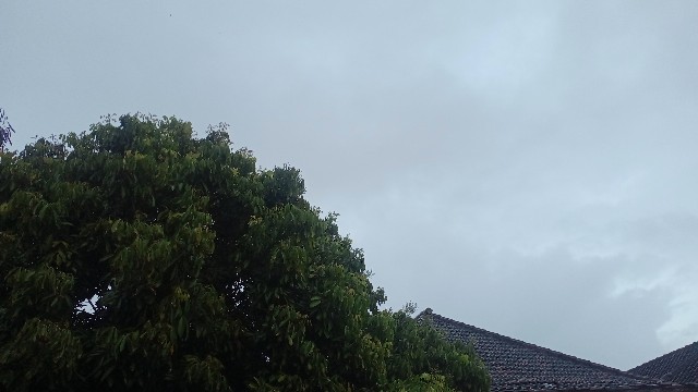 Bubblewreb Pengaman Packingan Saat Di Pejalanan