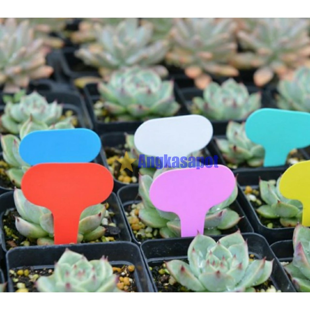 

Label Tanaman BENTUK BULAT Name tag Nametag Penanda Tancap isi 10 pcs