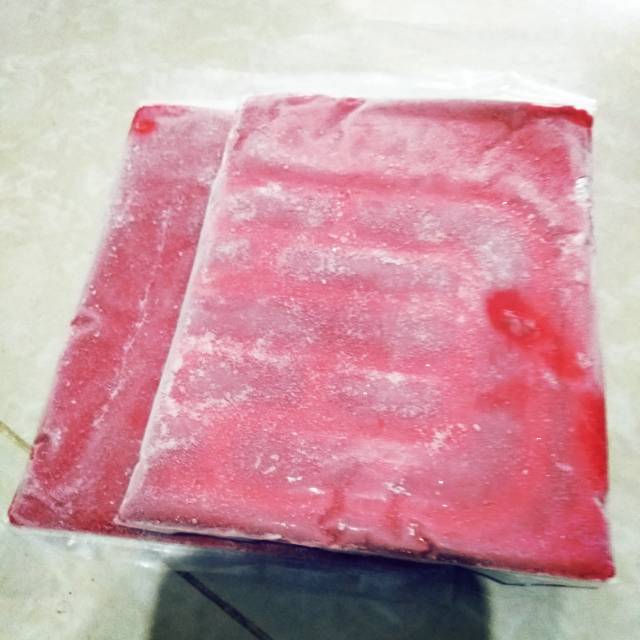 Burger Ikan Hias Discus Pewarna Ikan