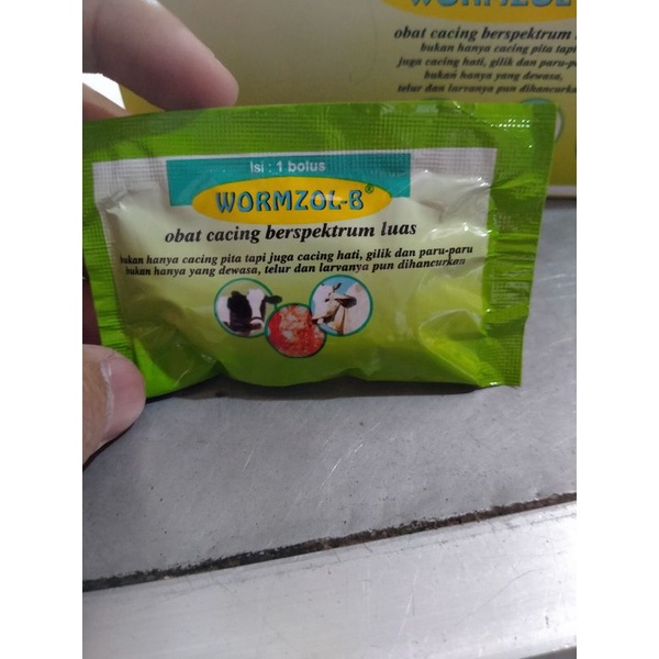 WORMZOL-B (Obat Cacing sapi)