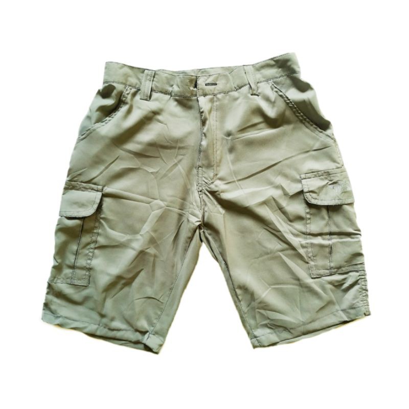 CELANA PENDEK CARGO TNF (GREY)