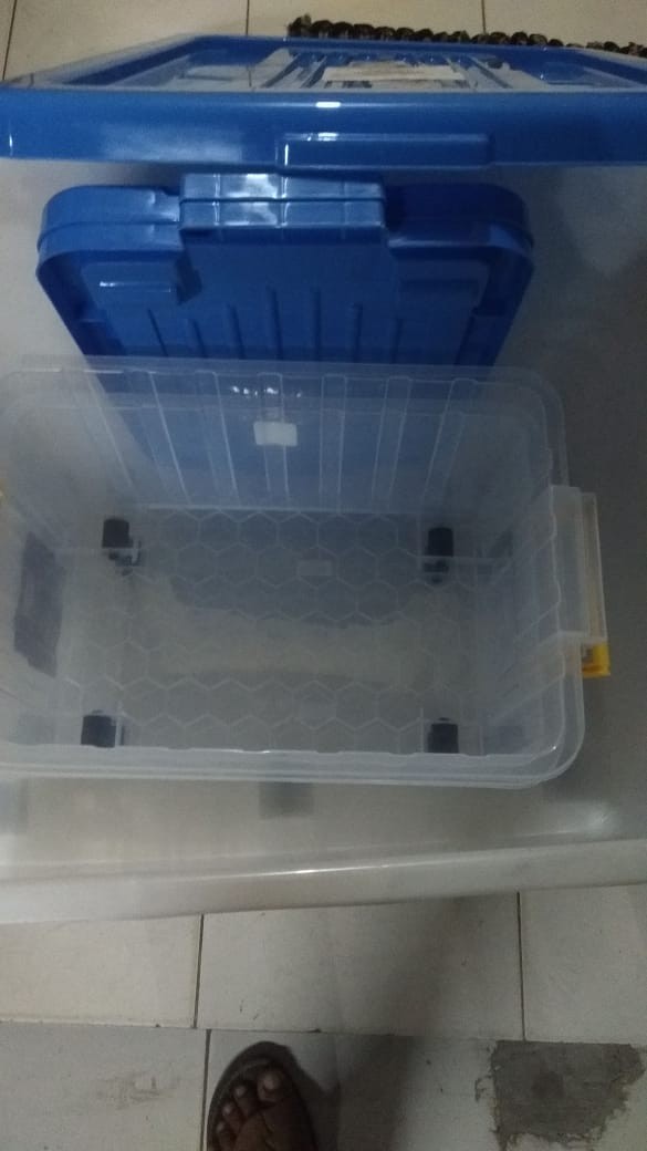 Box Container Shinpo Cb 130 Mega - Ke Seluruh Indonesia