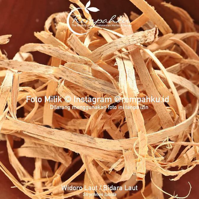 

(New!!) ramuan rempah - BIDARA LAUT 10gr Sample Kayu Ular Dara Widoro Putih Herbal