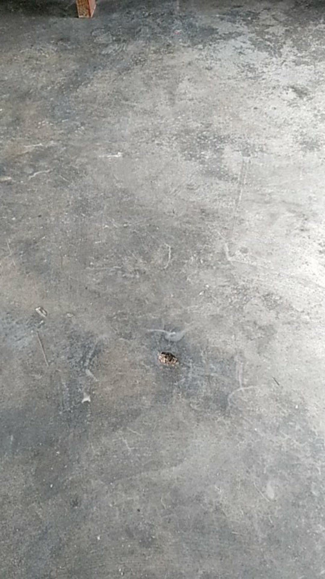 Baut L Monel 10cnc Baut Plat Nopol Cover Cnc Baut Variasi Ukuran 10 Baut Spatbor Baut Almunium