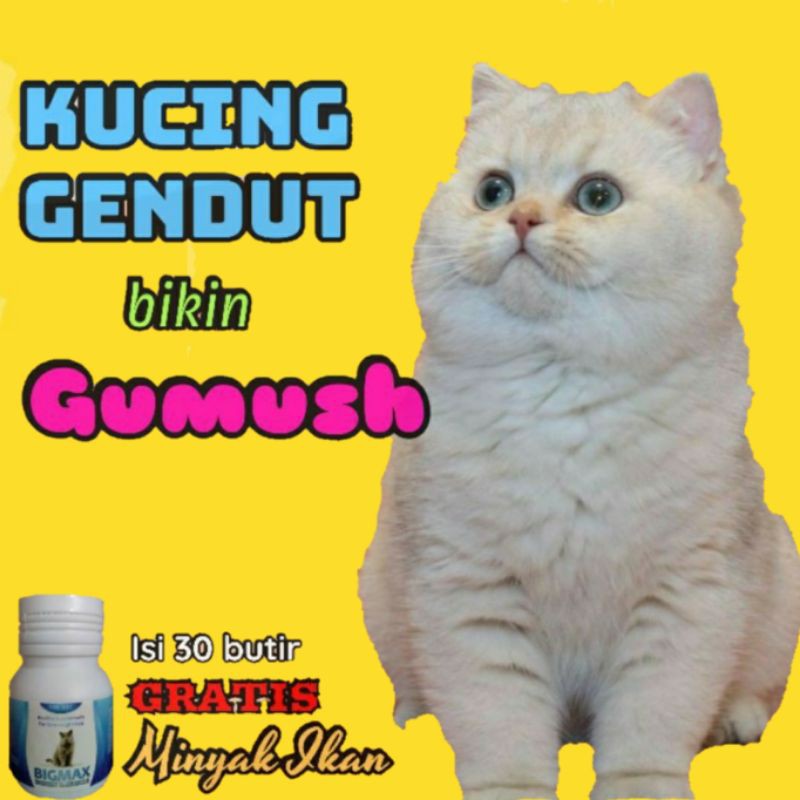 PENGGEMUK KUCING OBAT KUCING VITAMIN KUCING PENAMBAH NAFSU MAKAN KUCING PENINGKAT NAFSU MAKAN KUCING