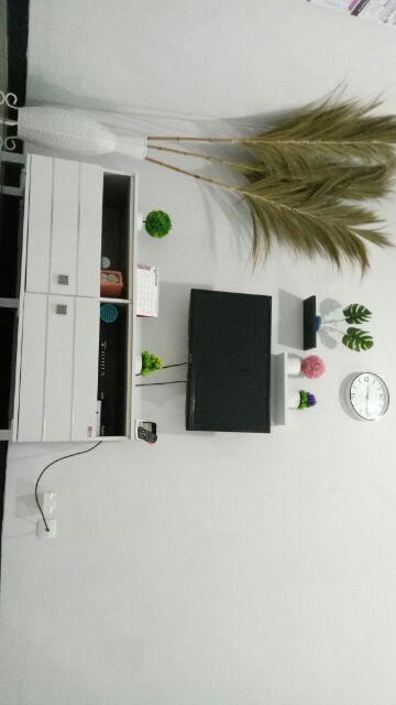 Bunga Kering Bundle Isi 2 /daun Kering /bunga Hias /natural Leaf