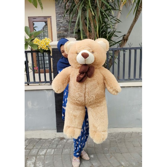 Boneka Beruang Teddy Bear Pita Jumbo / Toko Boneka Jumbo