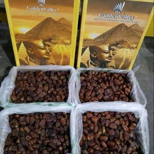 

Kurma golden valley