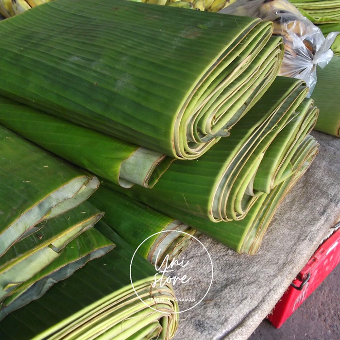 

(COD) 1kg daun pisang segar | Media Pembungkus Makanan