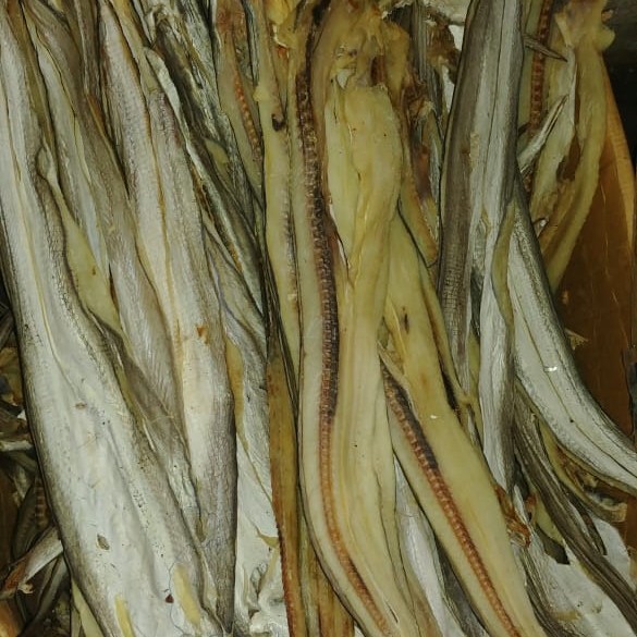 

ikan asin malong super