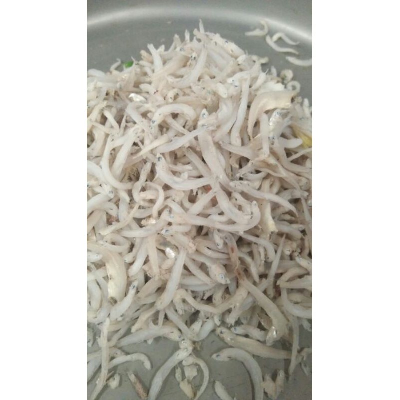 

IKAN TERI MEDAN