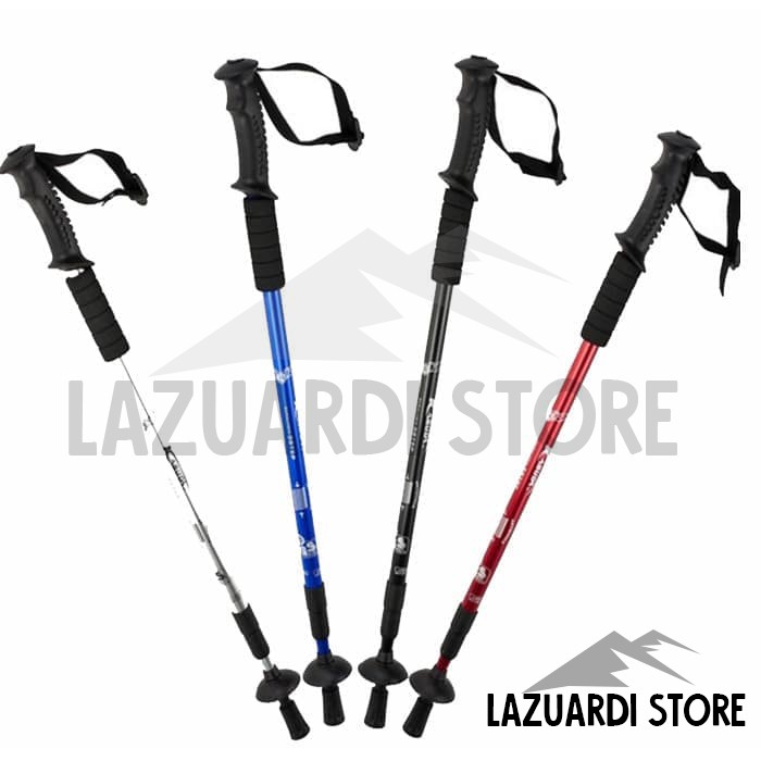 best place to buy trekking poles