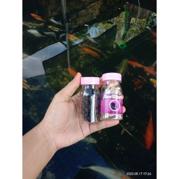 jamu mpot hitam