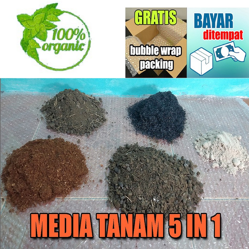 Media Tanam Organik Asli Tanah Pupuk Organik Sekam Bakar