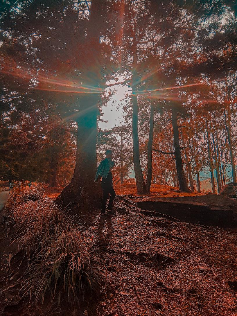 50pcs Pipa Rokok Tembakau Bahan Katun Warna Putih