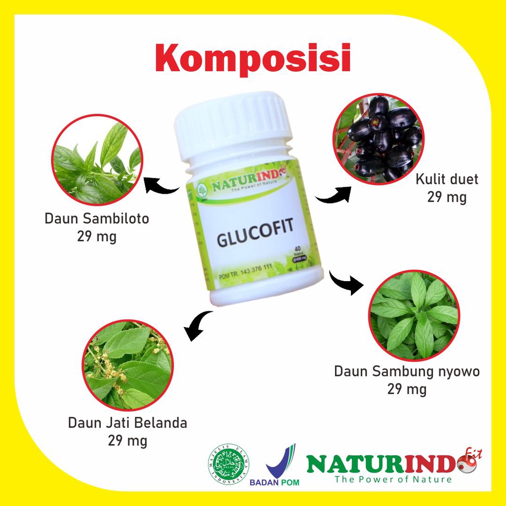 Glucofit Obat Herbal Diabetes Ampuh Obat Diabet Obat Gula Darah Obat Penurun Gula Darah Naturindo-1