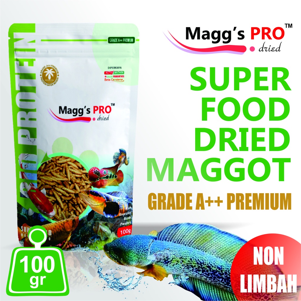 Maggot Kering Magg's Pro 100g Pakan Suplemen Ikan Predator Channa Lohan