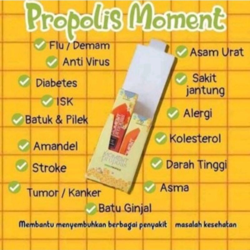 PROPOLIS MOMENT ORIGINAL ISI 2 BOTOL