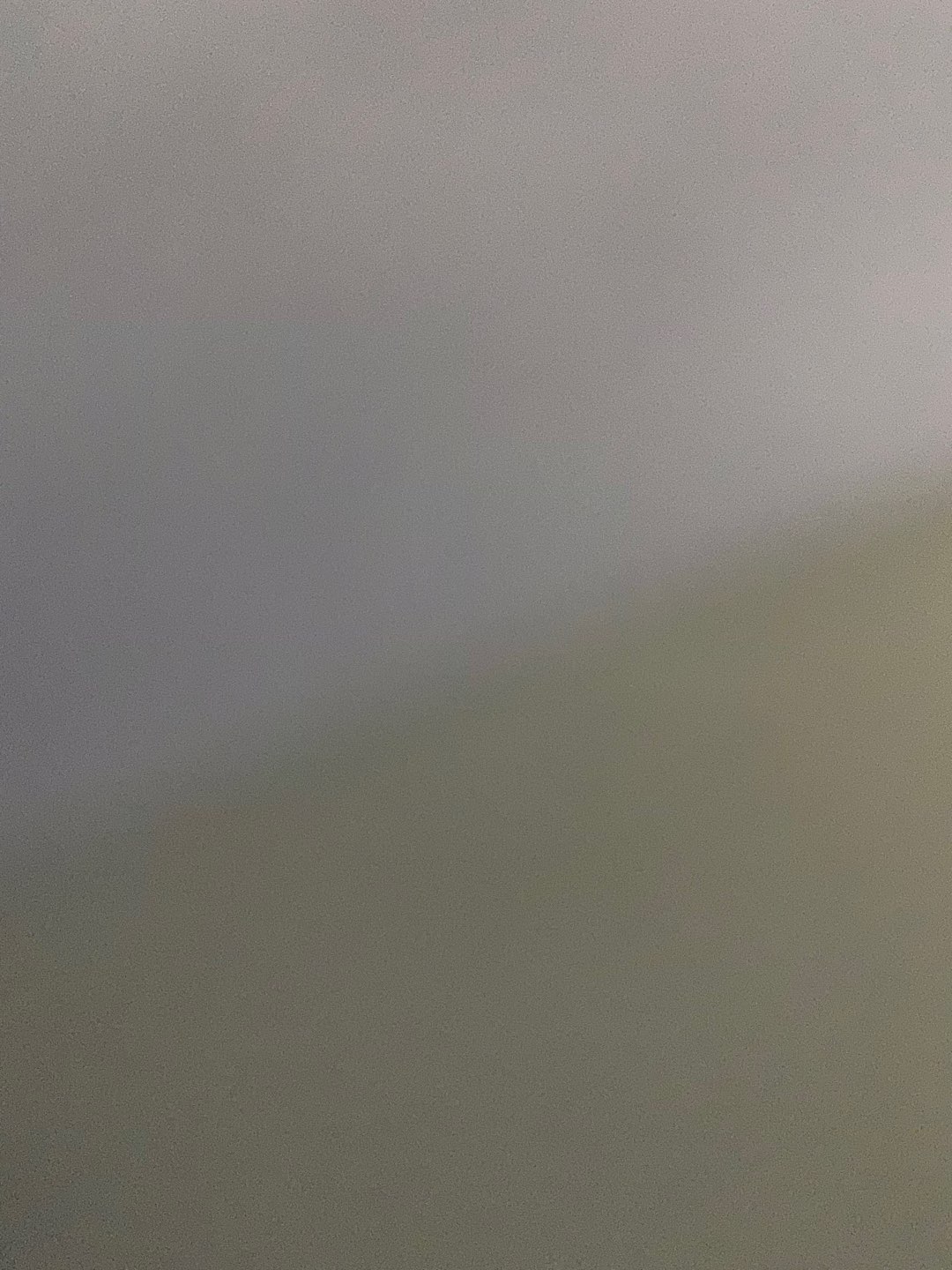 Placemat Matahari Seagrass D35 Cm Natural