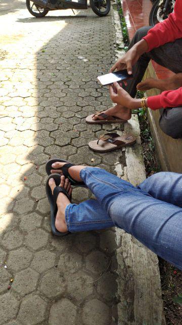 Media Tanam Tanah Subur Organik Berat -/+ 14-15kg Siap Pakai By Gojek/grab