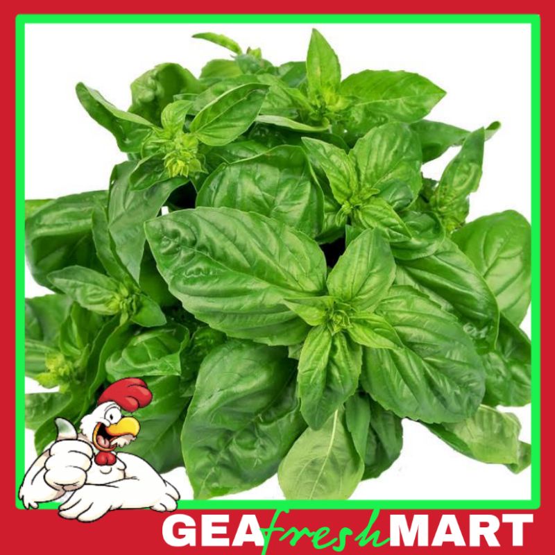 

Daun Kemangi/surawung 1 ikat